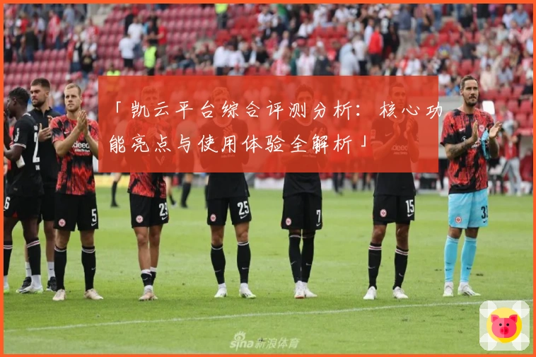 「凯云平台综合评测分析：核心功能亮点与使用体验全解析」