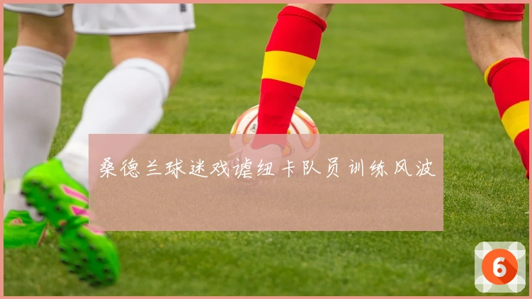 桑德兰球迷戏谑纽卡队员训练风波