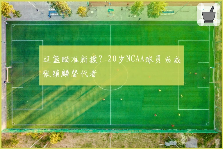 辽篮瞄准新援？20岁NCAA球员或成张镇麟替代者
